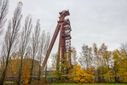 DSC04265.jpg