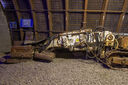 DSC05782.jpg
