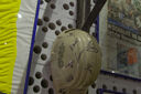 DSC05840.jpg
