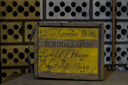 DSC05843.jpg