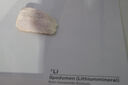Dateiname=DSC09586.jpg
Dateigröße=1163KB
Abmessungen: 2600x1733
hinzugefügt am: 17. November 2019 DSC09586.jpg