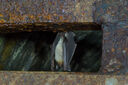Dateiname=DSC03257.jpg
Dateigröße=630KB
Abmessungen: 2647x1759
hinzugefügt am: 15. März 2020 DSC03257.jpg