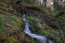 Dateiname=DSC03272.jpg
Dateigröße=1581KB
Abmessungen: 2647x1759
hinzugefügt am: 15. März 2020 DSC03272.jpg