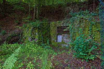 Schlüsselwörter: Mines de fer: Bergbaupfad zwischen Halanzy und Mussonâ€œ