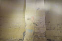 DSC01767.jpg