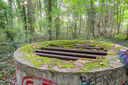 DSC05620.jpg