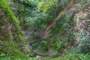 Dateiname=DSC05021.jpg
Dateigröße=5907KB
Abmessungen: 2500x1667
hinzugefügt am: 18. September 2022 DSC05021.jpg