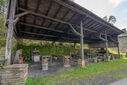 DSC05927.jpg