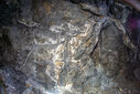 DSC02547.jpg