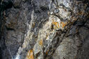 DSC02549.jpg