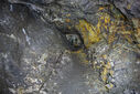 DSC02669.jpg