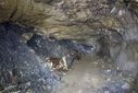 DSC02673.jpg