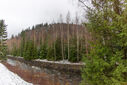 Dateiname=DSC08539.jpg
Dateigröße=2826KB
Abmessungen: 2500x1667
hinzugefügt am: 26. November 2023 DSC08539.jpg