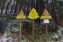 Dateiname=DSC08540.jpg
Dateigröße=3178KB
Abmessungen: 2500x1667
hinzugefügt am: 26. November 2023 DSC08540.jpg