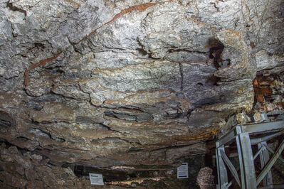 Schlüsselwörter: Heimkehle Höhle