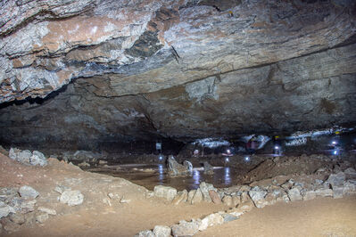 Schlüsselwörter: Heimkehle Höhle