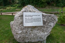 DSC03332.jpg