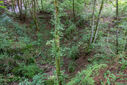 Dateiname=DSC03423.jpg
Dateigröße=6447KB
Abmessungen: 2500x1667
hinzugefügt am: 08. September 2024 DSC03423.jpg