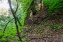 Dateiname=DSC03424.jpg
Dateigröße=6202KB
Abmessungen: 2500x1667
hinzugefügt am: 08. September 2024 DSC03424.jpg
