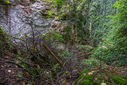 Dateiname=DSC03426.jpg
Dateigröße=5819KB
Abmessungen: 2500x1667
hinzugefügt am: 08. September 2024 DSC03426.jpg