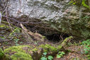 Dateiname=DSC03428.jpg
Dateigröße=4889KB
Abmessungen: 2500x1667
hinzugefügt am: 08. September 2024 DSC03428.jpg