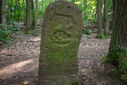 DSC03433.jpg
