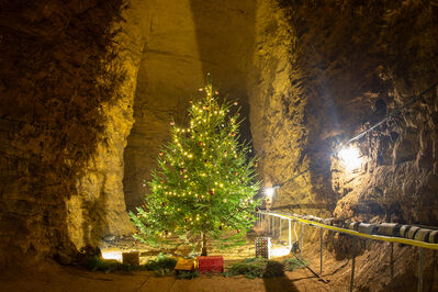 Schlüsselwörter: Kamsdorf Grubenadvent Kamsdorf 01.122024 01.12.2024