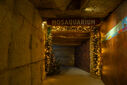 DSC05312.jpg