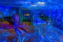 DSC05315.jpg