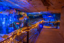 DSC05316.jpg