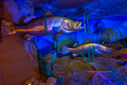 DSC05317.jpg
