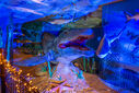 DSC05322.jpg
