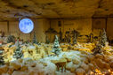 Dateiname=DSC05388.jpg
Dateigröße=3637KB
Abmessungen: 2500x1667
hinzugefügt am: 21. Dezember 2024 DSC05388.jpg