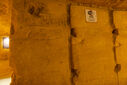 DSC05409.jpg