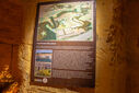 DSC05411.jpg
