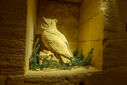 DSC05412.jpg
