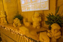 DSC05420.jpg
