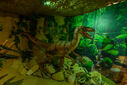 DSC05426.jpg