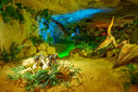 DSC05430.jpg