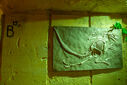 DSC05433.jpg