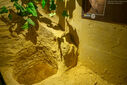 DSC05434.jpg