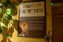 DSC05435.jpg