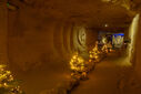 DSC05442.jpg