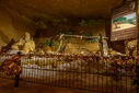 DSC05443.jpg