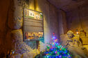 DSC05445.jpg