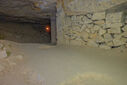 DSC05453.jpg