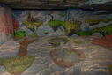 DSC05474.jpg