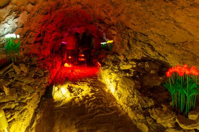 Schlüsselwörter: Barbarossahöhle im GeoPark Kyffhäuser