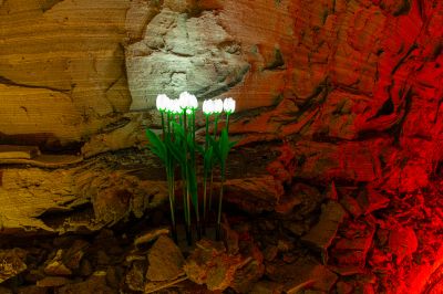 Schlüsselwörter: Barbarossahöhle im GeoPark Kyffhäuser