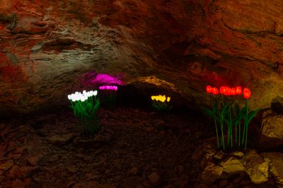 Schlüsselwörter: Barbarossahöhle im GeoPark Kyffhäuser